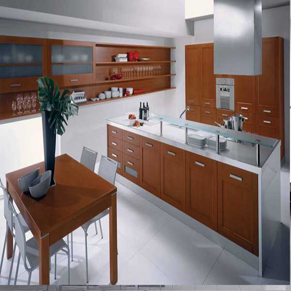 A stainless steel - wooden themed kitchen